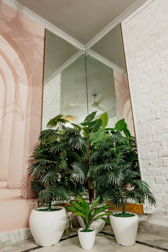 2BHK Oasis Near Hauz Khas Fort - Photo 4