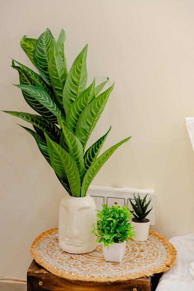 Historic 2BHK in Hauz Khas Village | South Delhi - Photo 5